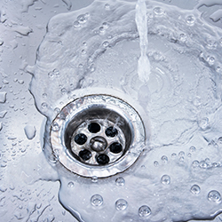 Advice for Preventing Drain Flies in Kitchens & Bathrooms