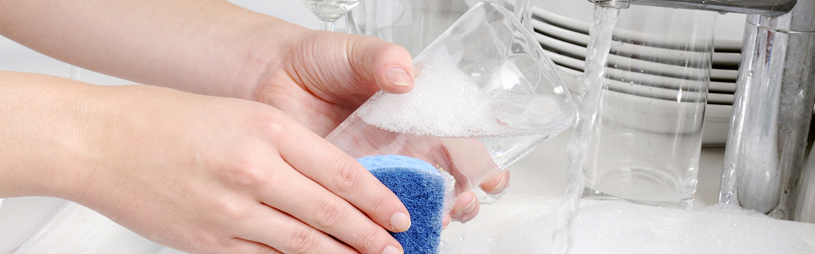 Article Reward Hospitality