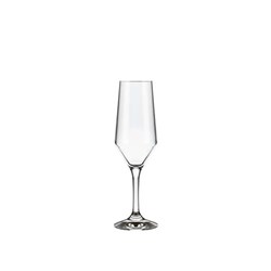 Buffet Sparkling Wine Glass 186ml Nadir