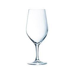 Evidence Wine Glass 450ml