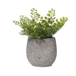 Maiden Hair Artificial Plant Green Small 160mm