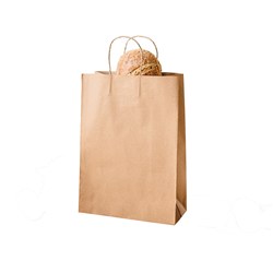 Paper Carry Bag Brown Small