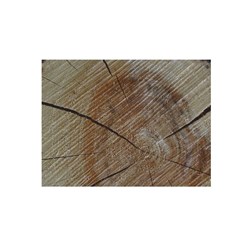 Wood Paper Placemat Brown 300x400mm 