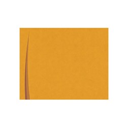 Bari Paper Placement Yellow/Maroon Europochette
