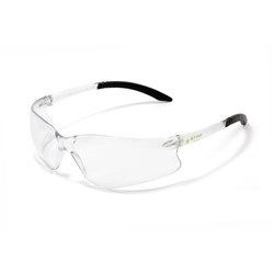 Antifog Safety Glasses