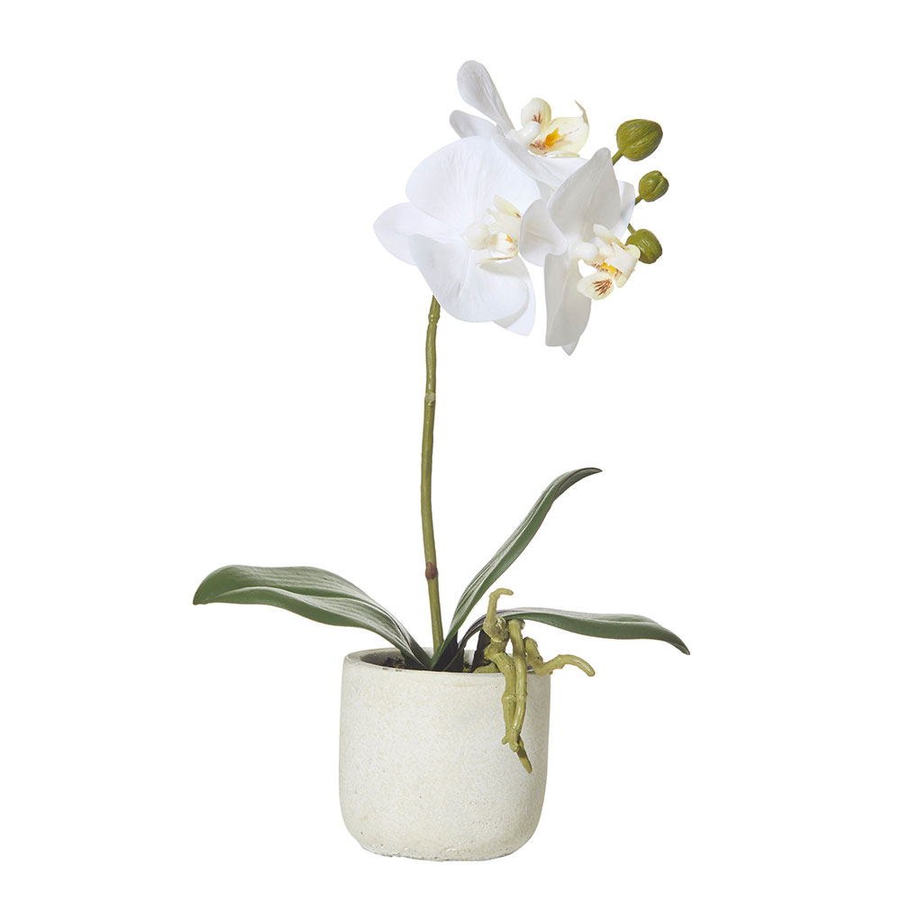 Artificial Orchid Plant White 170mm Reward Hospitality