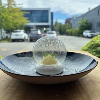 Caramelised Pineapple Meringue: A Fresh, Tropical Twist on a Classic