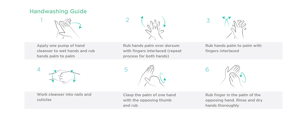 Handwash Guide