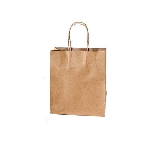 Paper Carry Bag Brown Mini