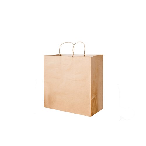 Paper Carry Bag Brown Medium